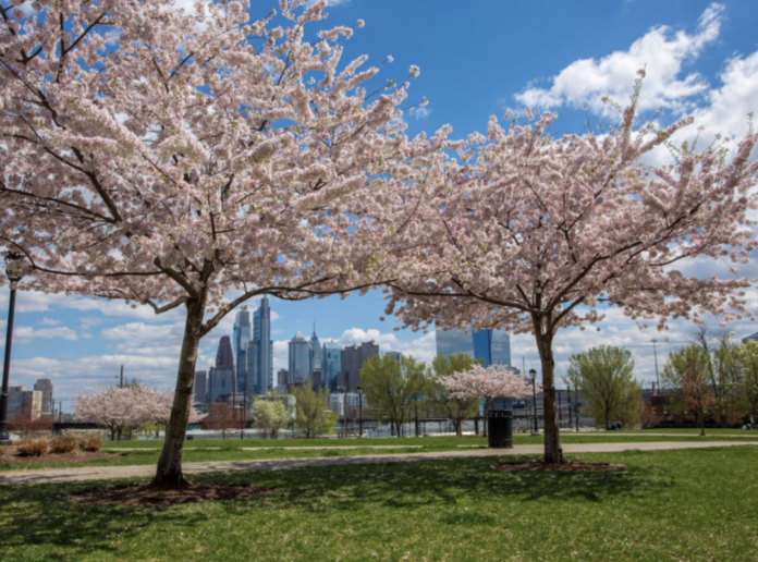 6 德雷克塞尔公园