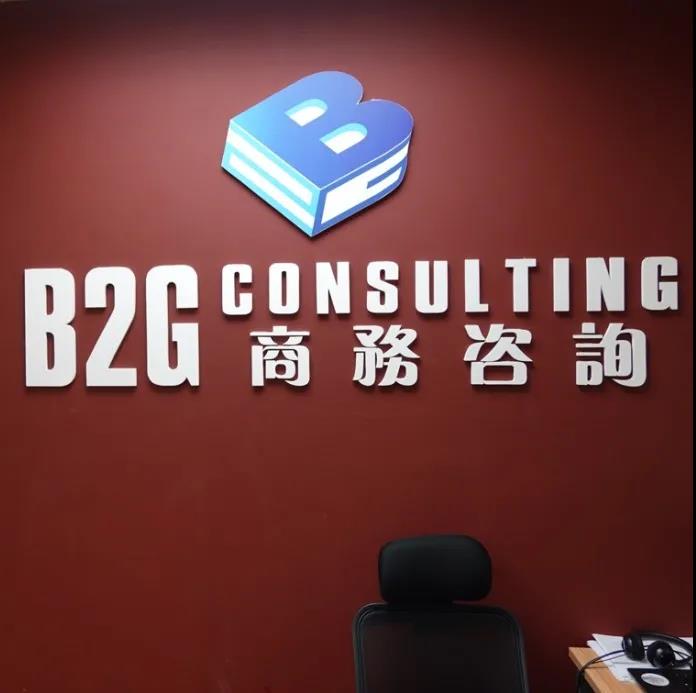 B2G商务咨询公司