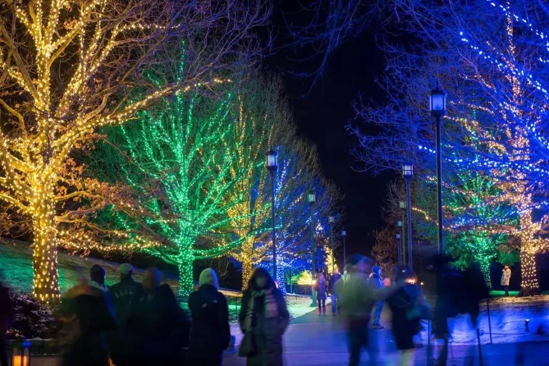 长木花园灯光秀