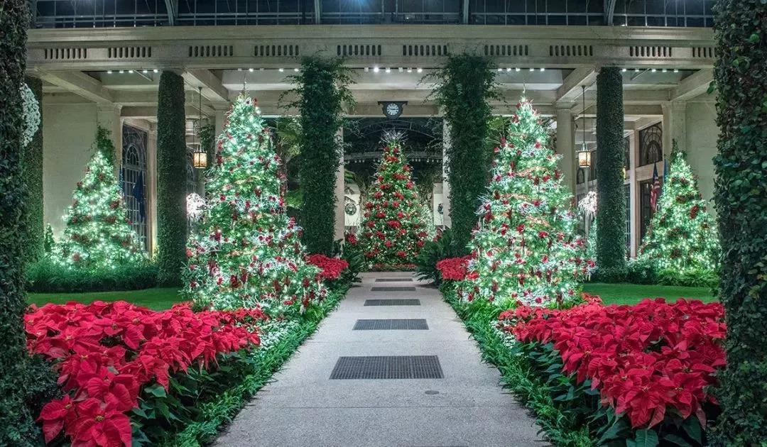 长木花园灯光秀