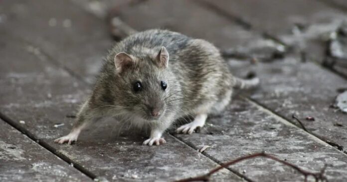 微信图片_20211008144047