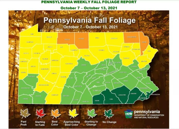 微信图片_20211012223954