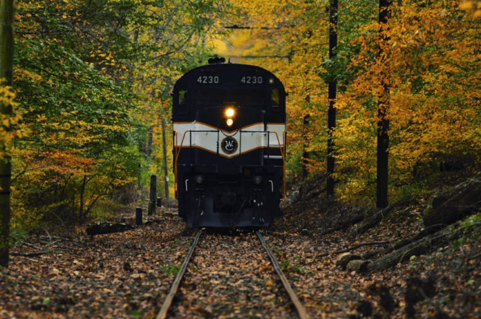 微信图片_20211104201532