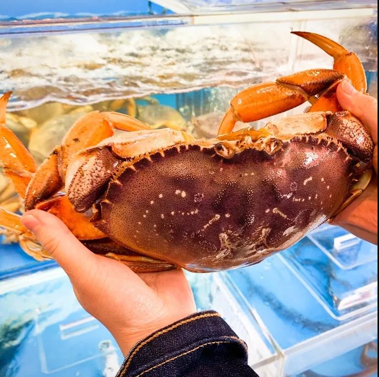 大螃蟹