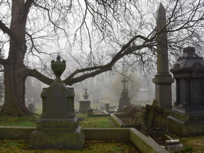 万圣节穿越之旅 万圣节穿越之旅