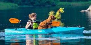 水獭湖营地度假村