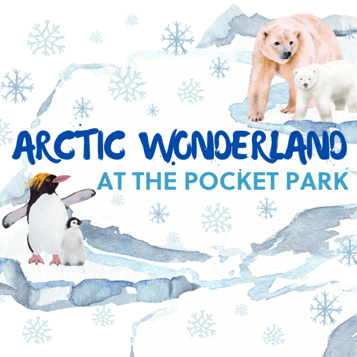 Arctic Wonderland