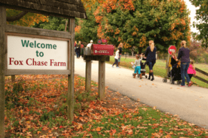 Applefest, Fox Chase Farm