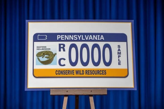 hellbender hellbender