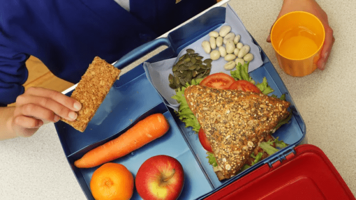 餐饮计划 餐饮计划