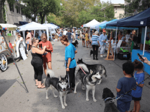 2024 Petapalooza in Chestnut Hill