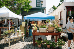 Chestnut Hill Home & Garden Festival