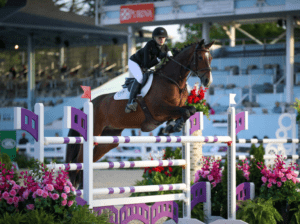 Devon Horse Show and Country Fair