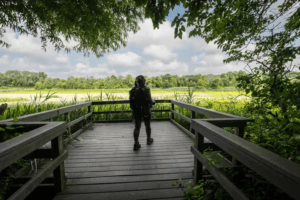 John Heinz National Wildlife Refuge