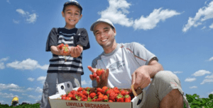 Strawberry Festival at Linvilla Orchards