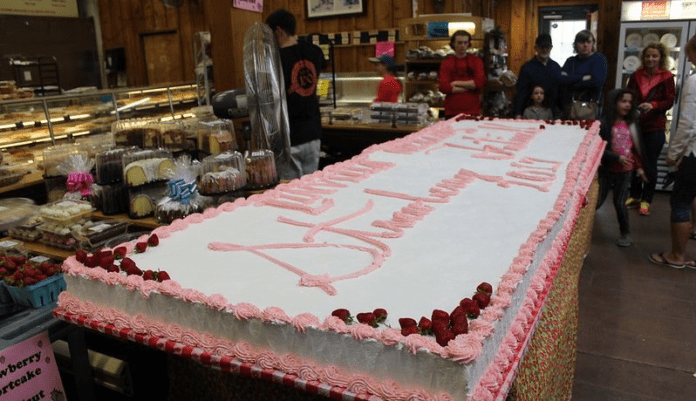 Strawberry Festival at Linvilla Orchards2