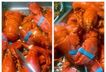 福利加码! 君豪Buffet龙虾大餐续杯至周二; 国家气象局发布费城极端高温预警; 特朗普将在天普大学举行竞选集会 君豪Buffet