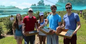 Blueberry Festival at Linvilla Orchards
