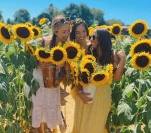 Peach & Sunflower Festival at Shady Brook Farm