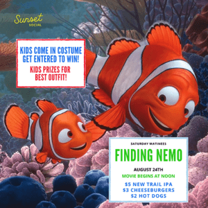 The Women’s Film Festival