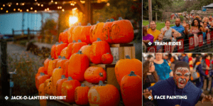 Pumpkinland at Linvilla Orchards