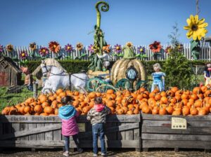 Pumpkinland at Linvilla Orchards2