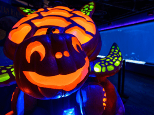 Fintastic Pumpkin Glow at Adventure Aquarium