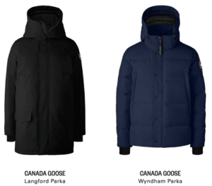 Canada Goose2