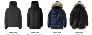 Canada Goose3