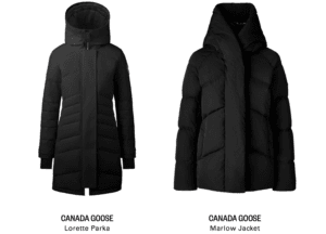Canada Goose4