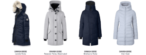 Canada Goose5