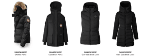 Canada Goose6