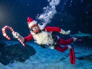 Christmas Underwater at the Adventure Aquarium