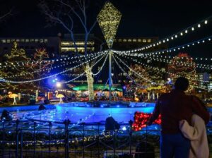 Winter in Franklin Square