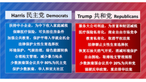 大选14