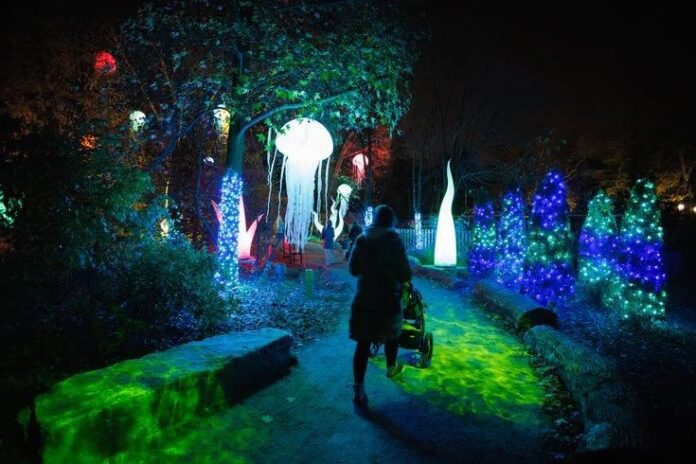 节日灯光秀 节日灯光秀