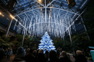 A Longwood Christmas