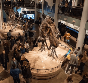 Dinos After Dark at The Academy of Natural Sciences