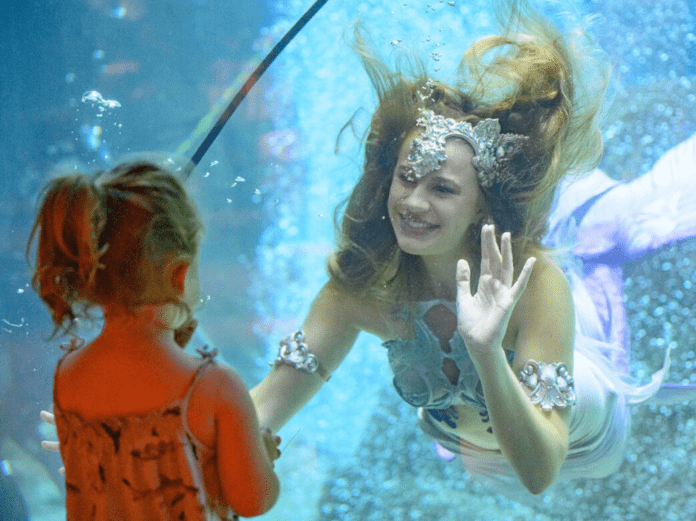 Mermaids at Adventure Aquarium Mermaids at Adventure Aquarium