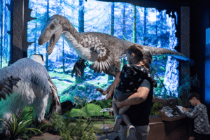 Winter Wonder at Longwood Gardens