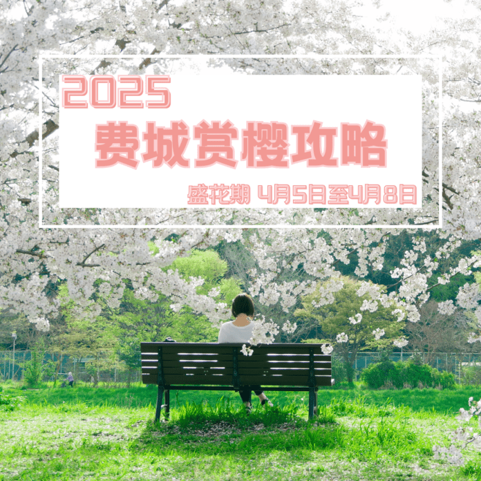 2025费城赏樱攻略