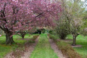 Andalusia Historic House, Gardens & Arboretum