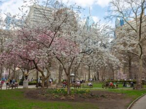 Rittenhouse Square