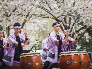 Subaru Cherry Blossom Festival5