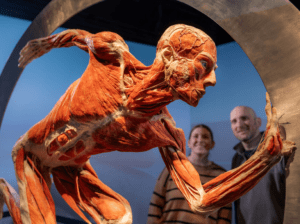 Vital at The Franklin Institute