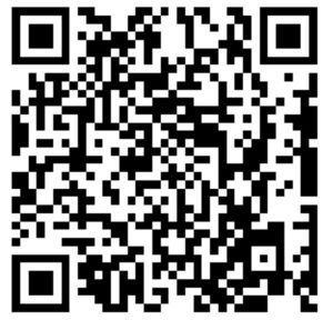 the 4th Annual Old City Wedding Stroll2