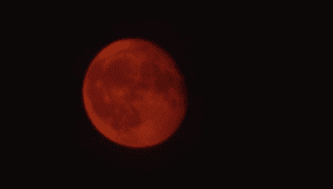 月全食