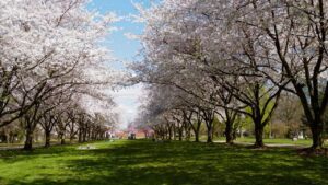 费尔芒特园艺中心