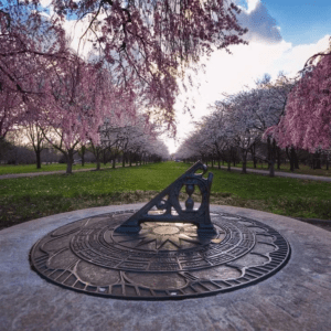 费尔芒特园艺中心2