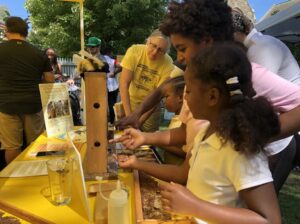 Honey Festival at Wyck Historic House & Gardens